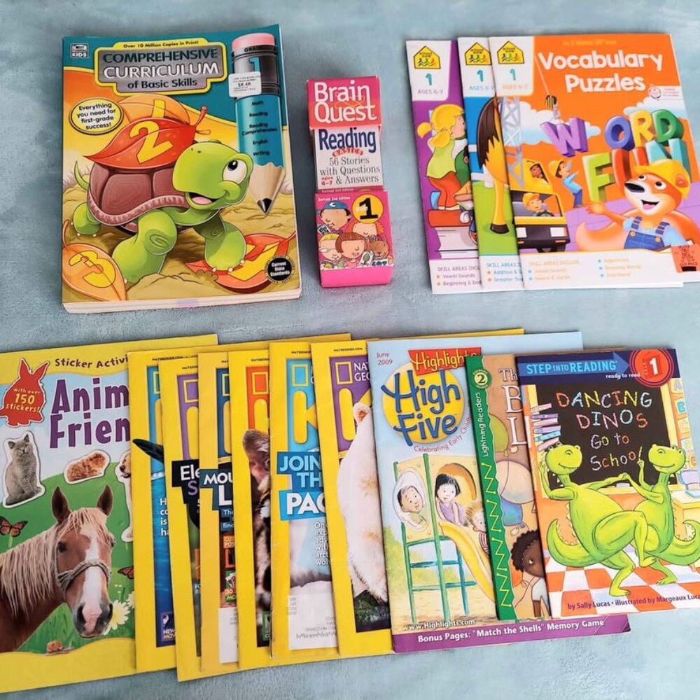 First Grade Educational BUNDLE- Workbooks, Brain Quest, and Fun Reading! (Perfec